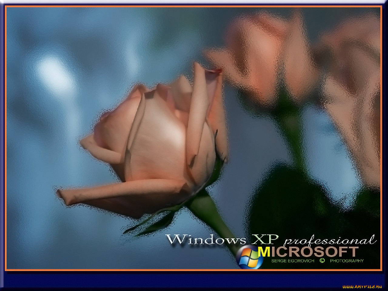 , , , windows, xp
